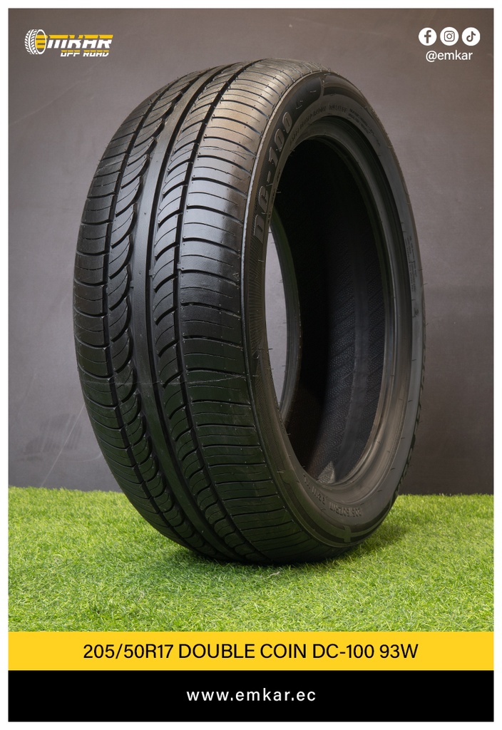 205/50R17 DOUBLE COIN DC-100 93W