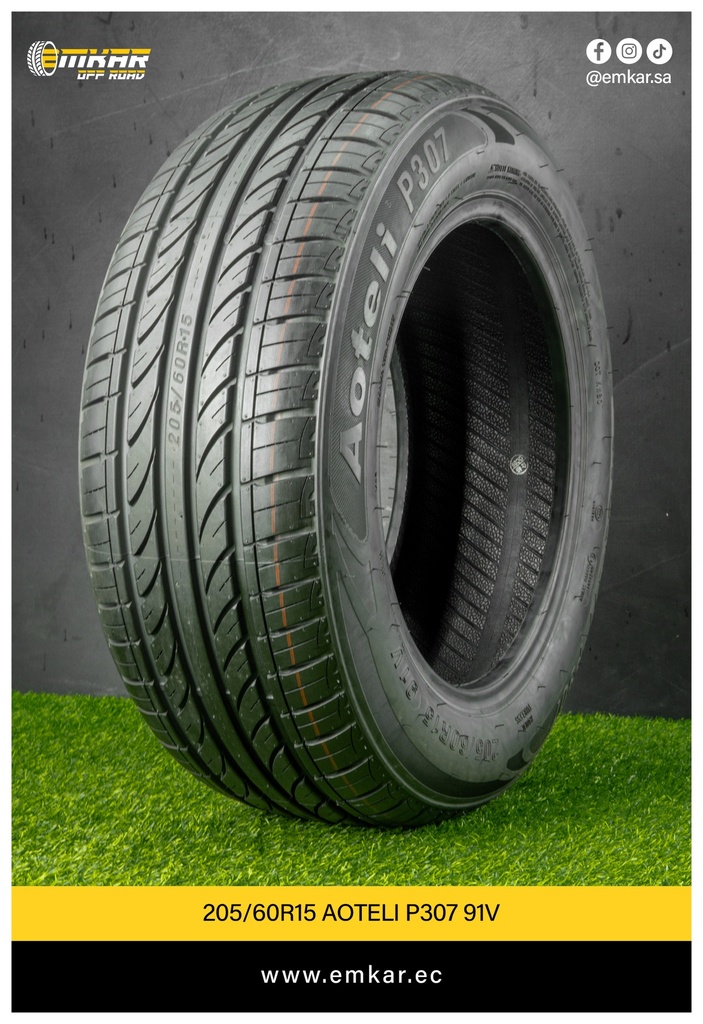 205/60R15 AOTELI P307 91V