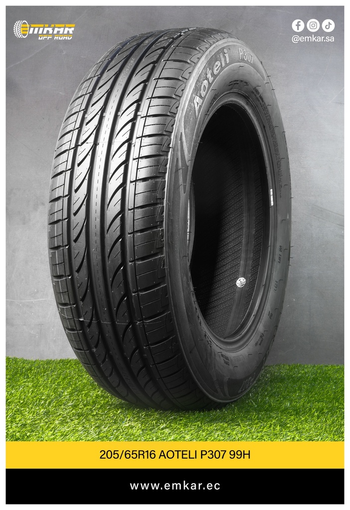 205/65R16 AOTELI P307 99H
