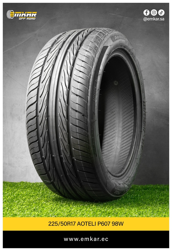 225/50R17 TRANSMATE TS605 98W
