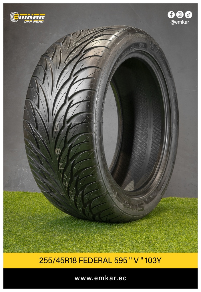 255/45R18 FEDERAL 595 " V " 103Y