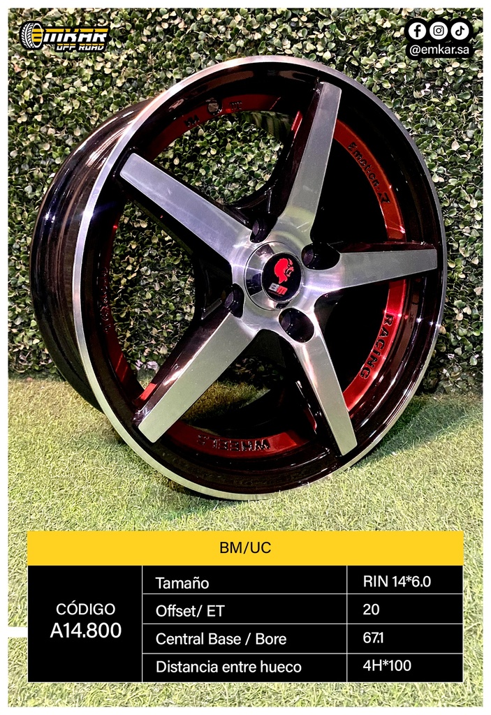 RIN 14*6.0 4H*100 ET20 CB67.1 BM/UC M A14.800