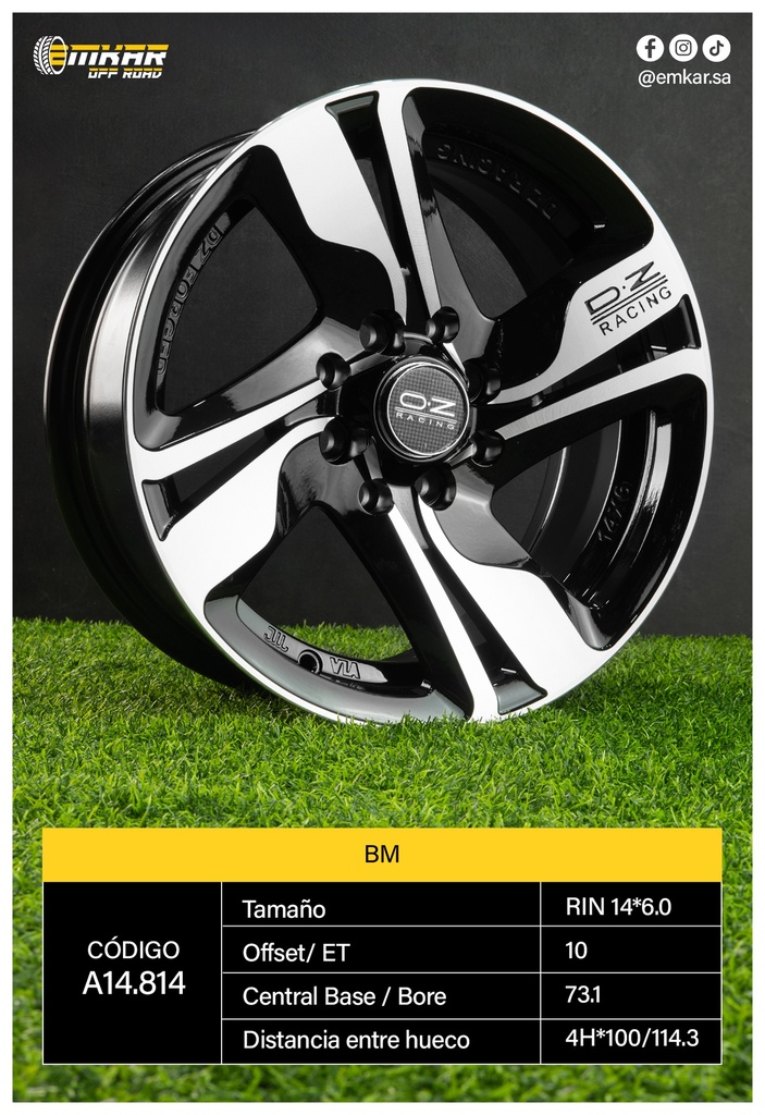 RIN 14*6.0 4H*100/114.3 ET10 CB73.1 BM - A14.814